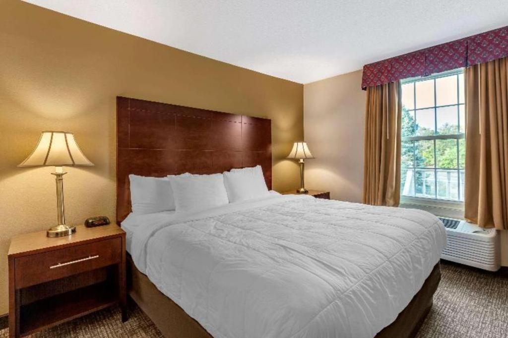 Comfort Inn Foxboro - Mansfield Foxborough Exteriör bild