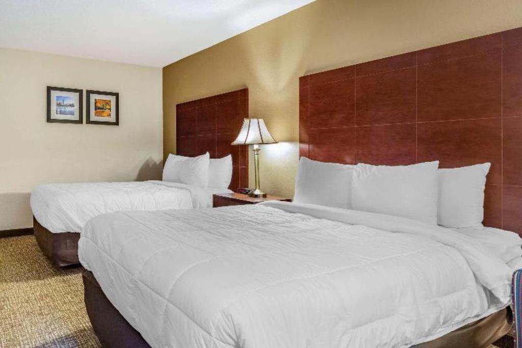 Comfort Inn Foxboro - Mansfield Foxborough Exteriör bild