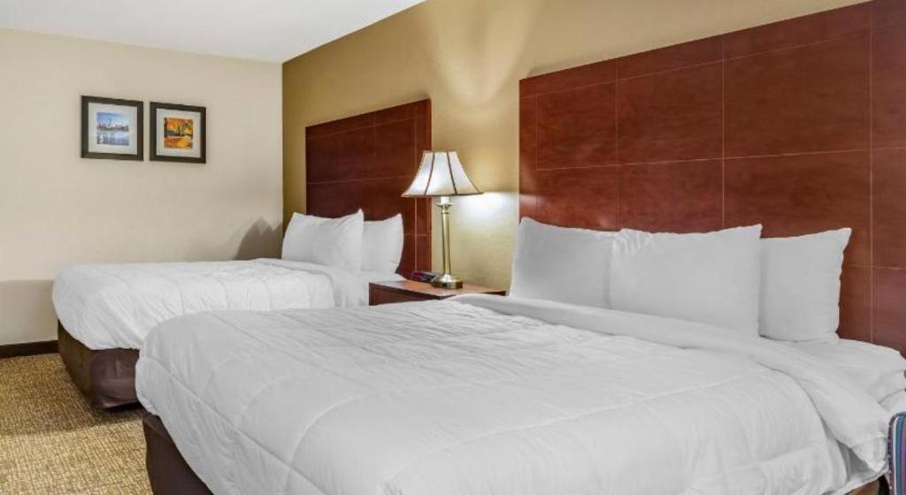Comfort Inn Foxboro - Mansfield Foxborough Exteriör bild