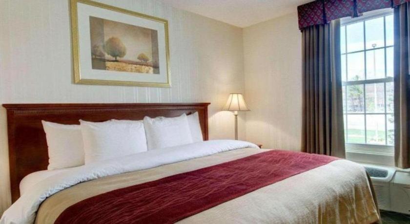 Comfort Inn Foxboro - Mansfield Foxborough Exteriör bild